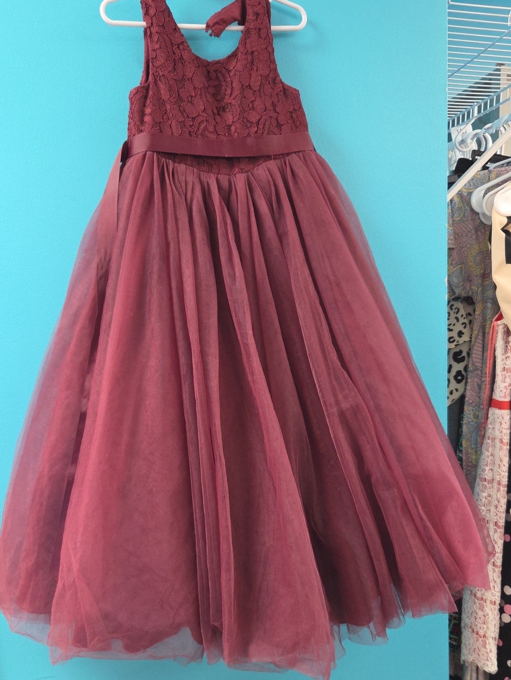 David's Bridal Burgundy Tulle Maxi Skirt